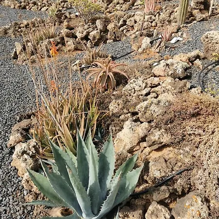 Дом отдыха Relax 1 A 10 Minutos De Corralejo Villaverde (Fuerteventura)