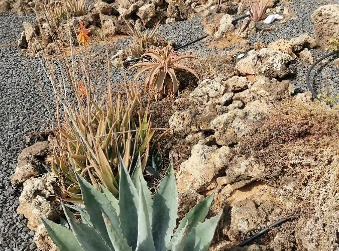 Holiday home Relax 1 A 10 Minutos De Corralejo Villaverde (Fuerteventura)