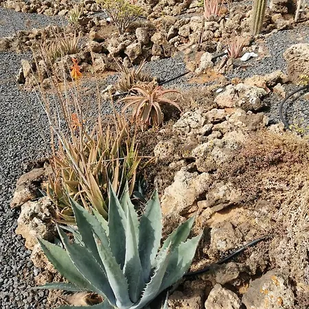 Semesterbostad Relax 1 A 10 Minutos De Corralejo Villaverde (Fuerteventura)